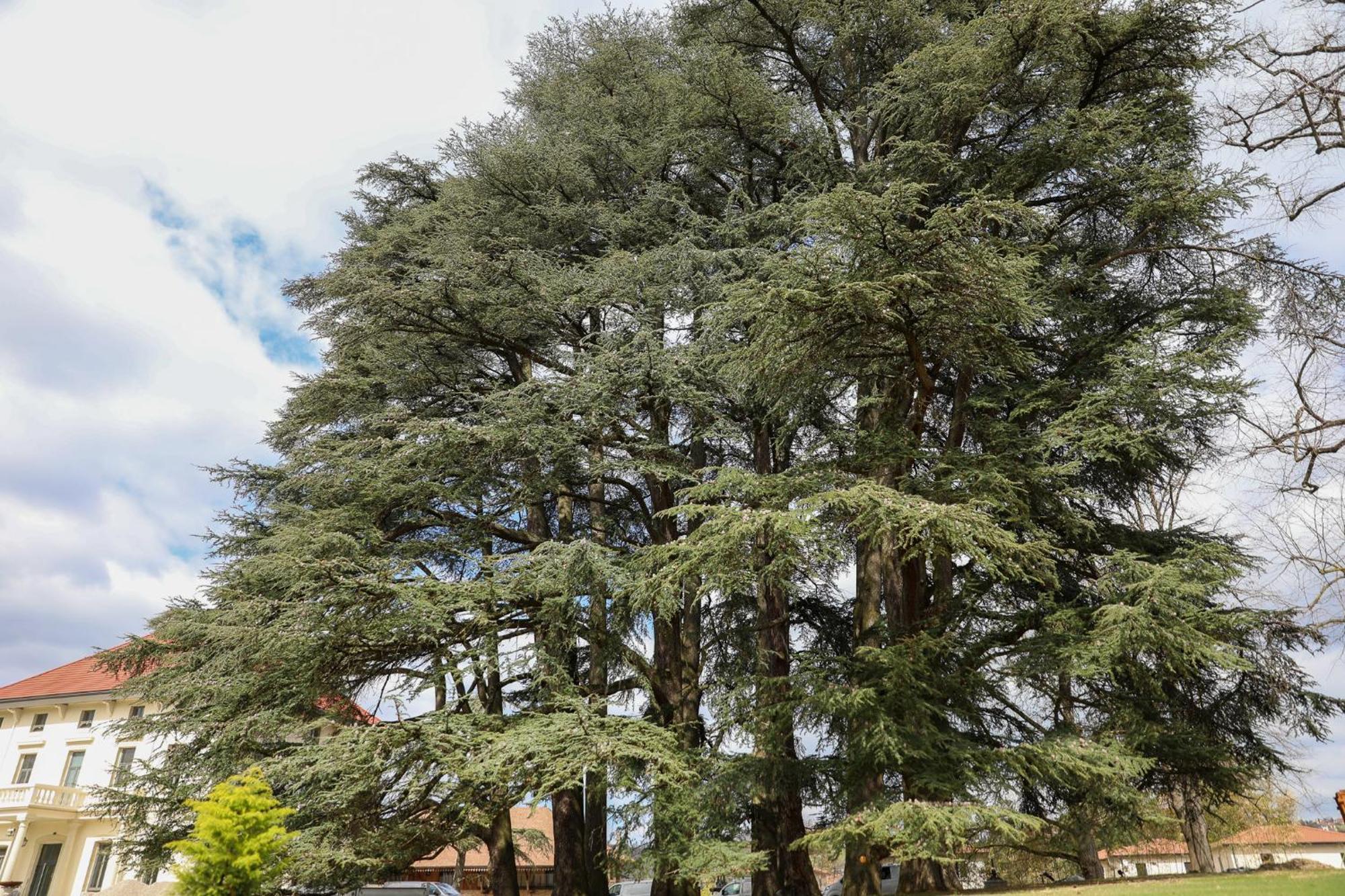 Hotel Sequoias Golf & Ressort Ruy-Montceau Exterior foto